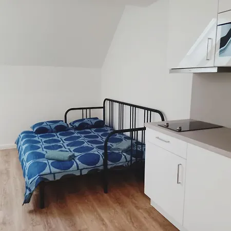 Prague Apartment براغ